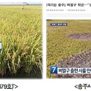 중원축산 이미지