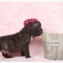 방배2동070 이미지