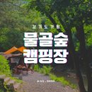 가평_ 물골숲캠핑장 (애견동반가능) 찐 후기! 저는 안갑니다.