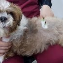 두암동물병원 이미지