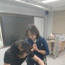 세라캘리 이미지