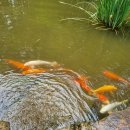 글누리지역아동센터 이미지