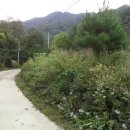 땅벗 공인중개사사무소 이미지