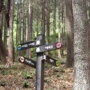 편백어울림 이미지