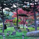 [북부] 수채화 이미지