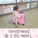 조*수 - 진안군 대광1길 4 | 지아이조캐리어 버전2 L사이즈 탈 수 있는 캐리어 내돈내산 후기