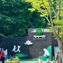 아이스차차차 - 용인시 처인구 원천로 11 | 서울어린이대공원 웨건 대여해서 7살 아이들과 놀이동산에 다녀왔습니다