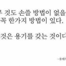 용인대 영광태권도 이미지