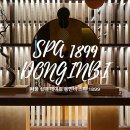 정관장&동인비 | 서울 실내 데이트 동인비 정관장 스파 후기 & 즉시 할인