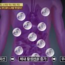 노화가 빨라지는 이유를 봤더니 이미지