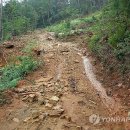 남원1농로 이미지