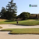 우리들리조트제주(대중형 18홀) | 제주도 18홀 회원제 골프장 예약 잔디 맛집 제주 테디밸리cc 후기