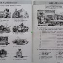 성인기초영어 초급1 이미지