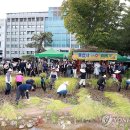 울산광역시시청 이미지