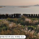 신현1리 마을회관 이미지