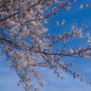 설천면125 이미지