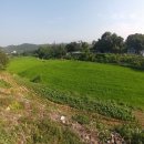 상천리-1 이미지