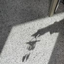 압량중학교 이미지