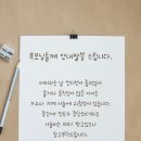 피움헤어 이미지