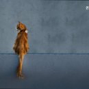 퀸즈동물병원