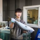 해궁회센타