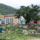 고내농장 이미지