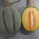 멜론짐 네이버블로그