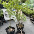 달창농장 이미지