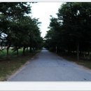 달천제방길 이미지