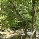 만산고을펜션 이미지