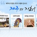 제주국제자유도시개발센터 - 이사장 공모 이미지