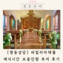 명동성당 예식 파밀리아채플 결혼식 시간 투어 후기 (하객 예신 관점)