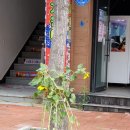 황진이노래연습장 이미지