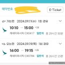 터미널오토타운 | [2409 홍콩여행] 홍콩 1박 레이오버 후기 (CX047 / 케세이퍼시픽 / 옥토퍼스 카드 없이 여행)