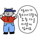 얌케이스 네이버블로그