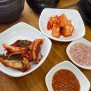 숲속애견샵 이미지