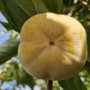 병영농장 이미지