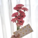 소희목장 네이버블로그