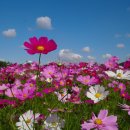 고운드림 이미지