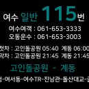 성학맨션 건너(중앙여고) | 여수[여수시내 일반버스]115번 화장동-돌산대교-계동 노선안내 및 시간표