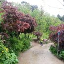 이정화농장 이미지