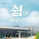 쉼박물관 조선비즈