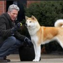 하치이야기 이미지