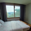 스테이 도트 이미지