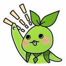 더놀자PC 이미지