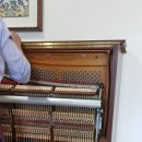 회원동262 이미지