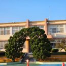 상주동부초등학교 네이버블로그