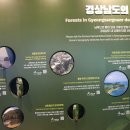 경상남도산림박물관 이미지