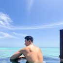 개의온도 이미지