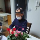 생활원예(반려식물) 이미지